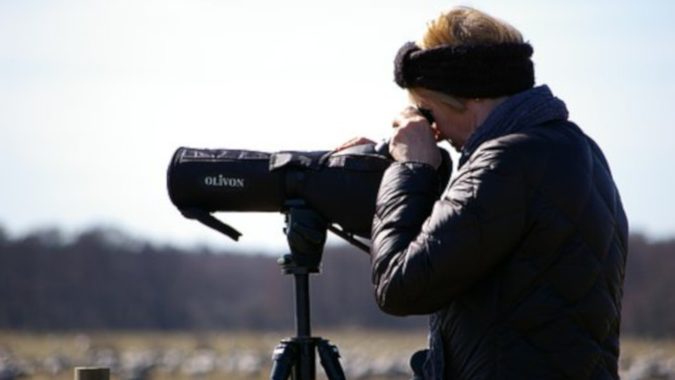 What do I need to pay particular attention to when choosing a spotting scope?