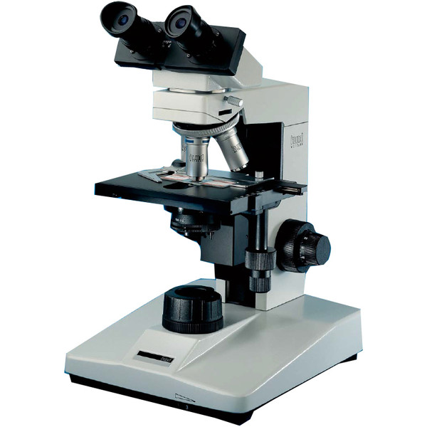 Hund Microscope H 600 Wilo-Prax Achro, bino, 40x - 1000x