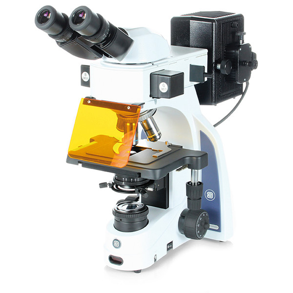 Euromex Microscope iScope,  IS.3152-PLFi/3, bino