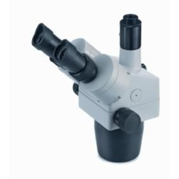 Novex Modular stereo microscope Zoom-Head RZT, trinocular