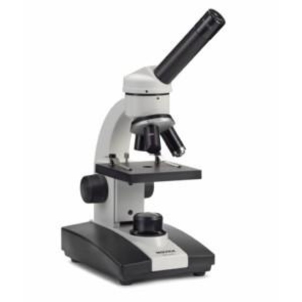 Novex Microscope LED-Junior