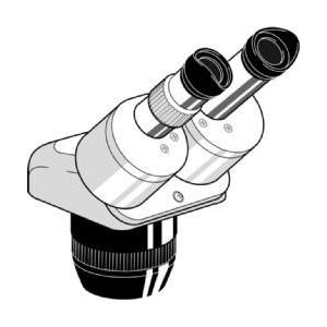 Euromex Stereo zoom microscope Head EE.1522, binocular