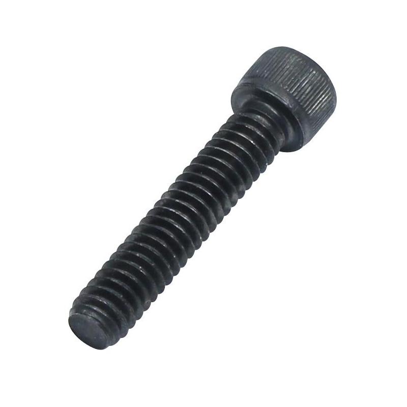 1/4" Allen screw, 1.25" long