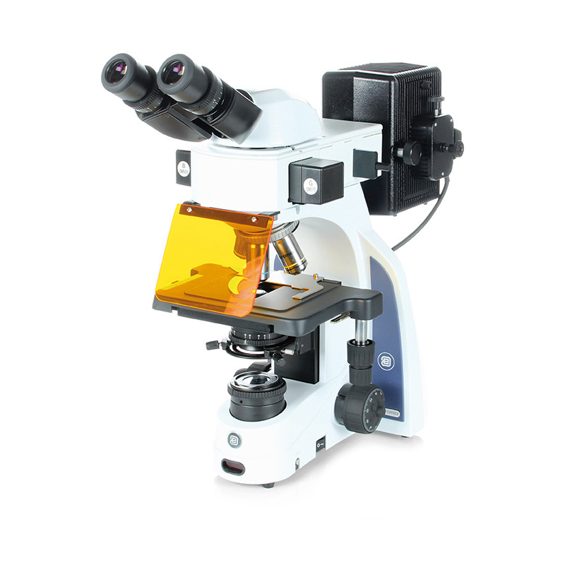 Euromex Microscope iScope,  IS.3152-PLFi/3, bino