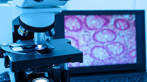 Cytology & Pathology