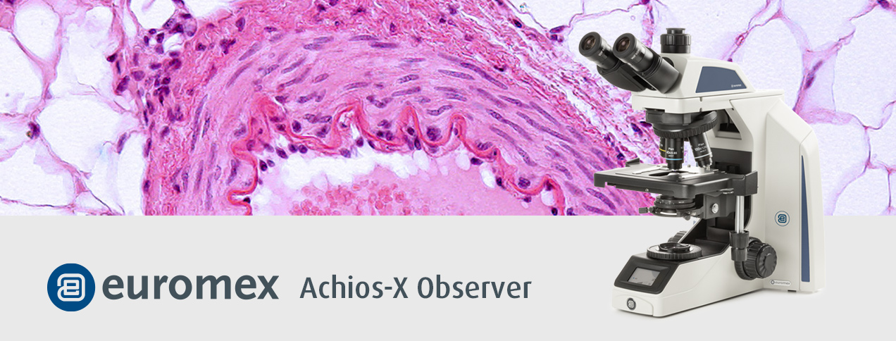 Achios-X Microscope