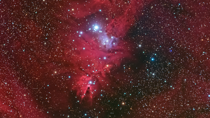 The Christmas Tree Cluster NGC 2264 with the Cone Nebula, a dark nebula, directly below. Tragoolchitr Jittasaiyapan