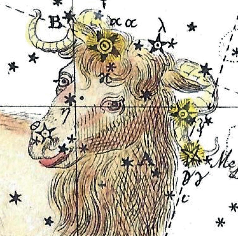 Illustration of Aries from Bode's star atlas (Vorstellung der Gestirne) from 1805.