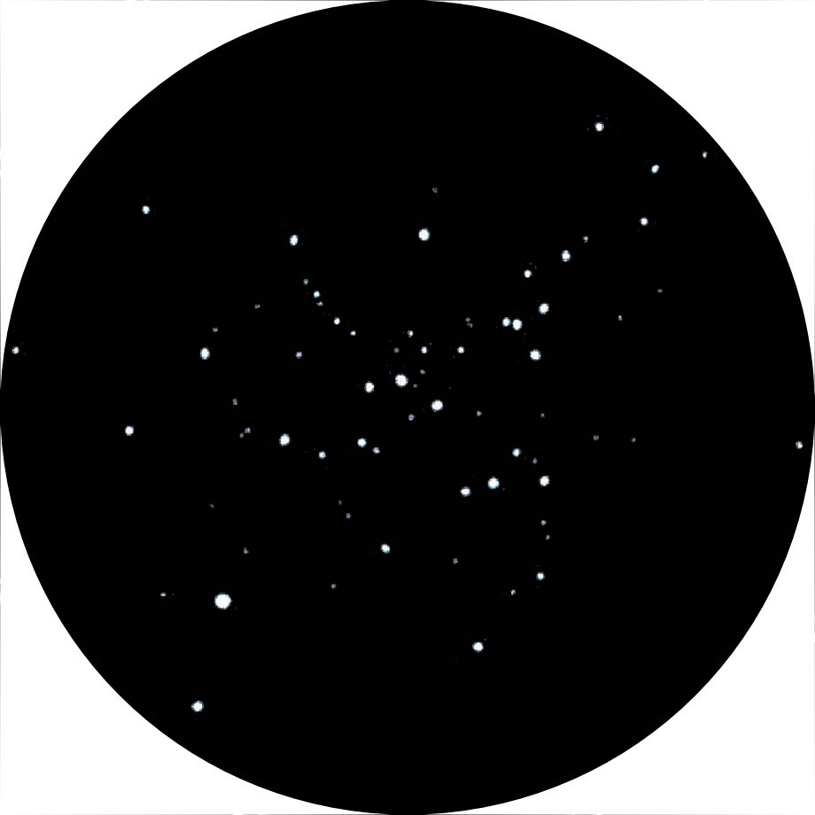 Drawing of Messier 41 as seen in 
an 8 inch Newtonian at 40 times magnification. Michael Vlasov