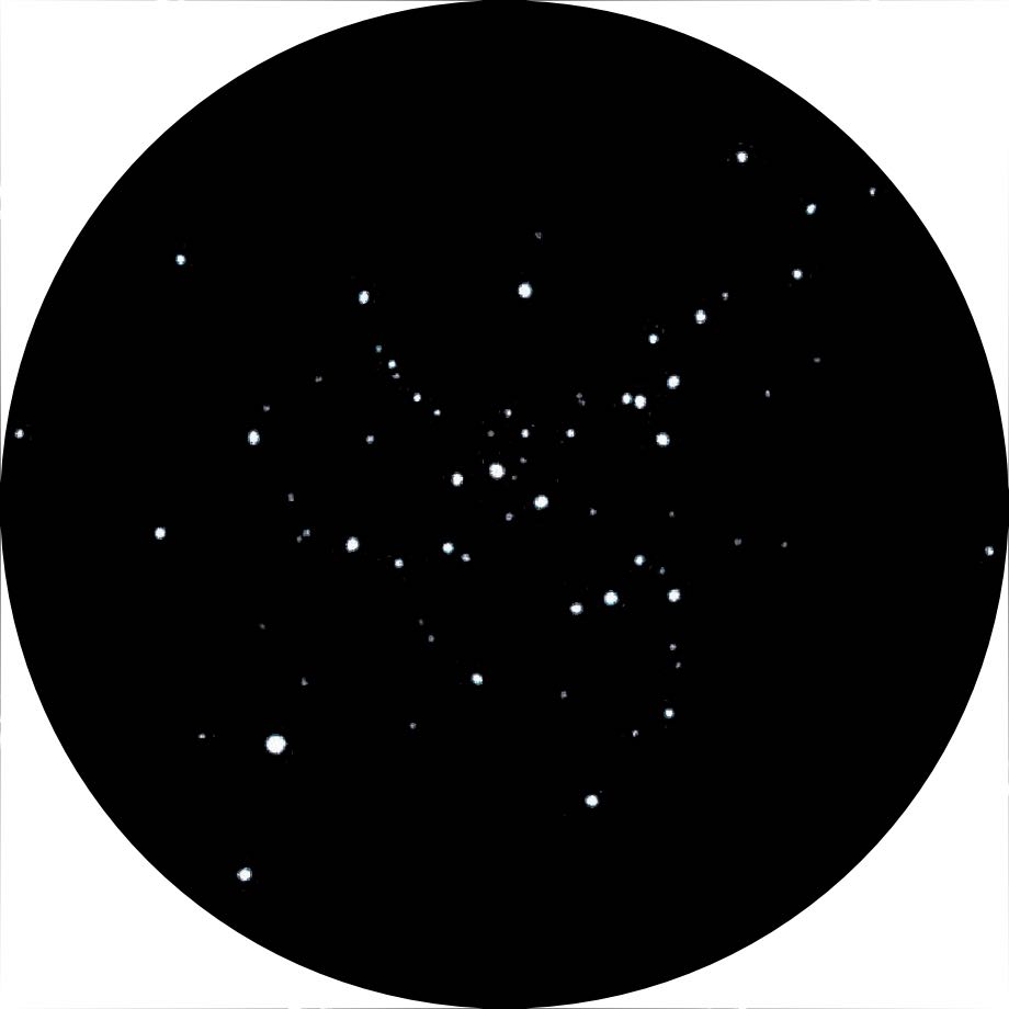 Drawing of Messier 41 as seen in
an 8 inch Newtonian at 40 times magnification. Michael Vlasov