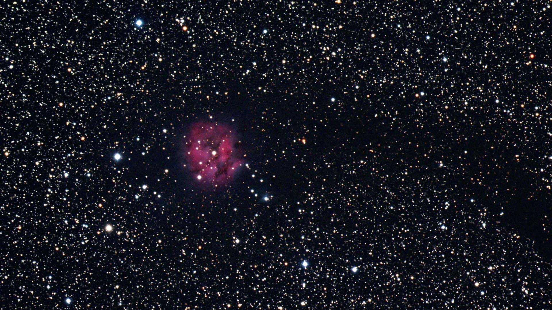 Picture of the Cocoon Nebula (IC5146) in the constellation Cygnus and its formation: the picture is a combination of individual composite images in each of the colour channels to form a colour picture. U. Dittler