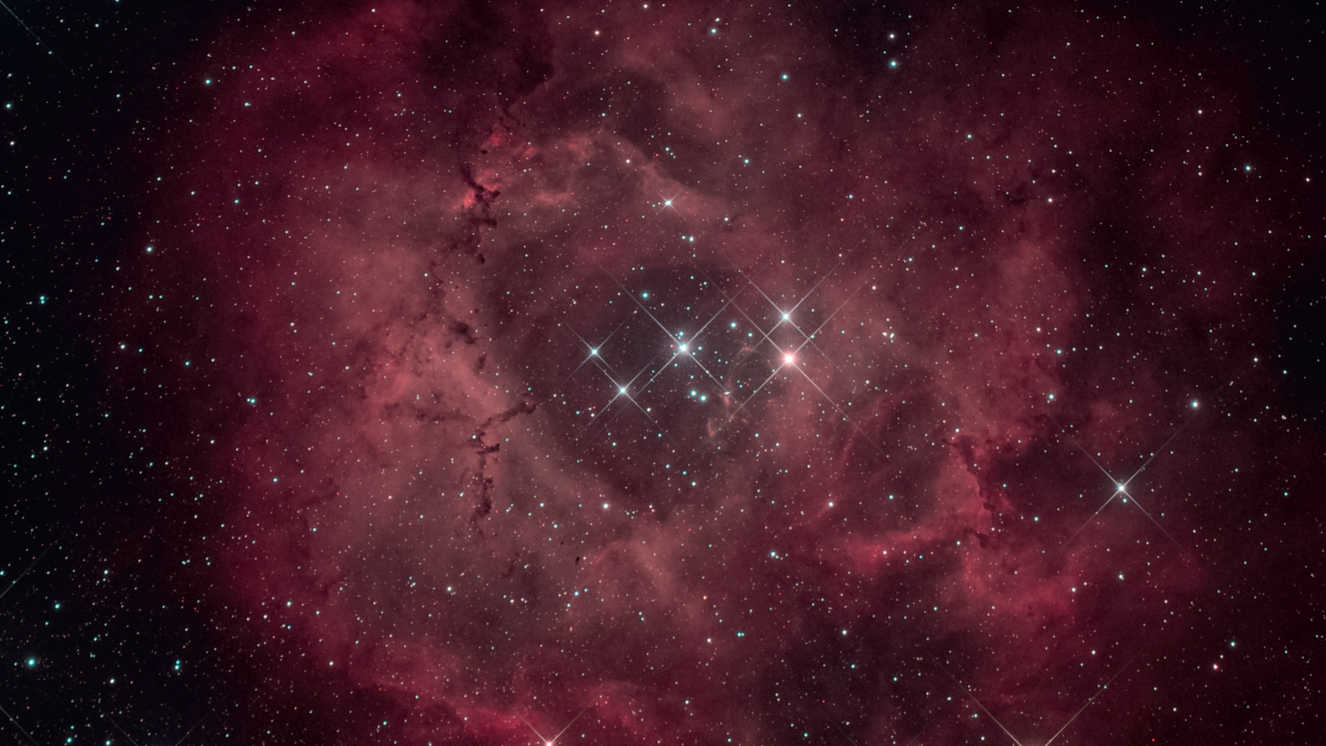 Depending on the object to be photographed, different cameras offer varying levels of success: for this image of the Rosette Nebula with the central cluster NGC 2244, a Hα-modified Canon D6 DSLR was used, together with a telescope with a focal length of 530 mm (aperture ratio f/5). The picture consists of 10 images, each with an exposure time of 450 seconds (at ISO 1600), giving a total exposure time of 75 minutes. U. Dittler