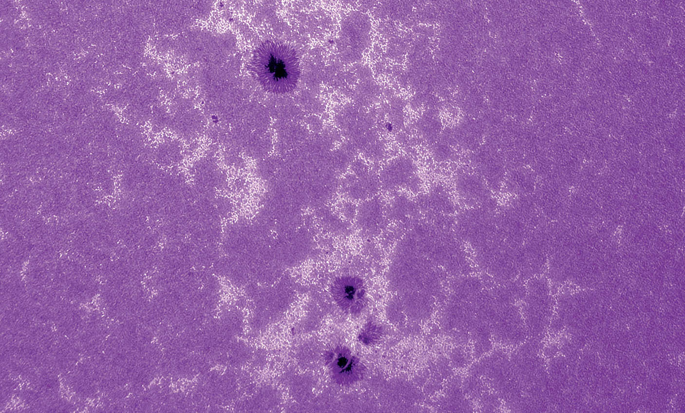 Calcium image of the Sun. Lunt CaK module (B600) on a refractor with 2,250 mm focal length, aperture 130 mm, uncooled CCD camera; 500 of 2,500 frames processed in AviStack and Photoshop. U. Dittler