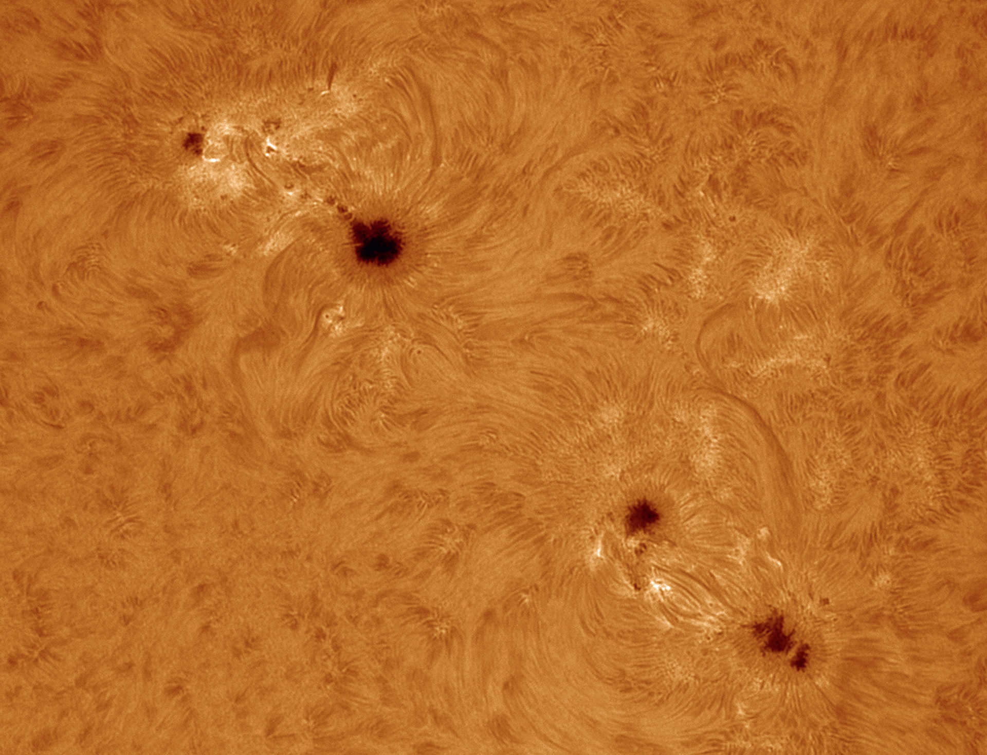 Sunspots in Hα light. Created with a Coronado Solarmax90 filter on a refractor with a focal length of 2000 mm, aperture: 90 mm; uncooled CCD camera; 500 of 2,500 frames processed in AviStack2 and Photoshop. U. Dittler