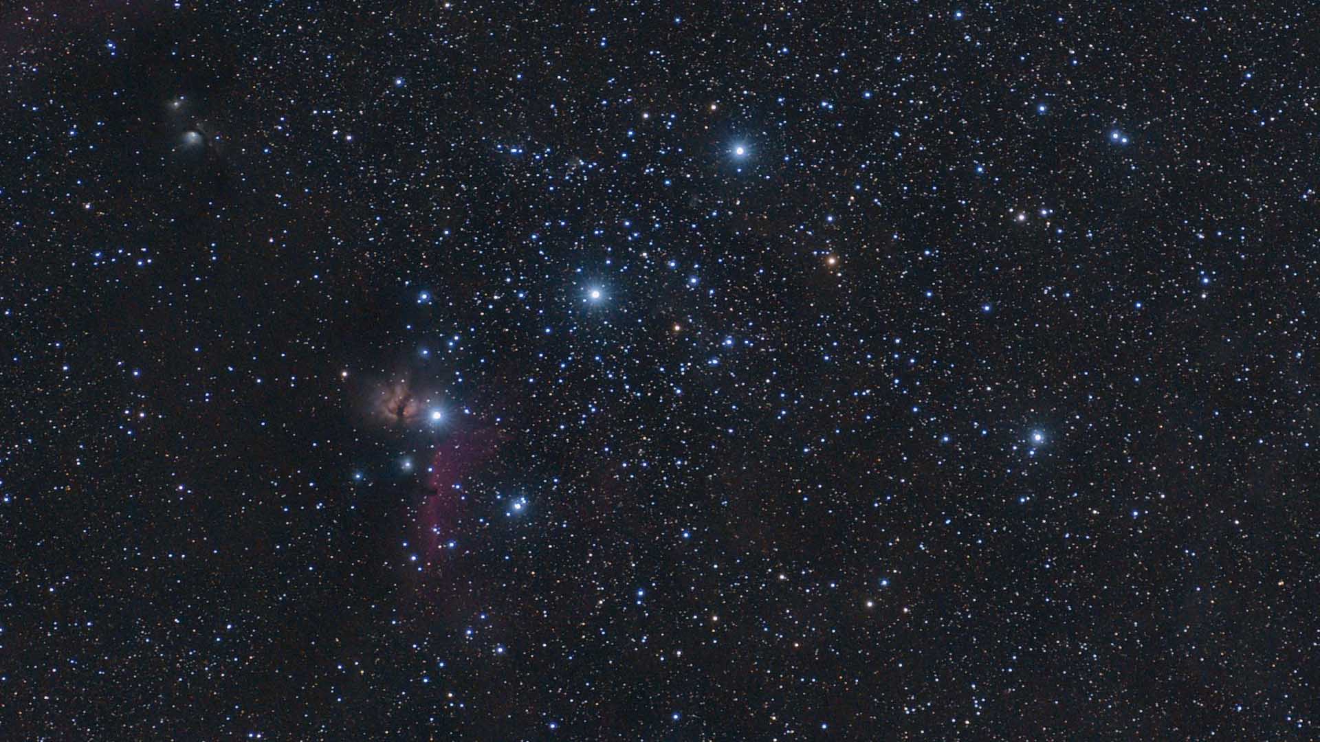 Orion's belt and sword reveal a series of highlights in the night sky. Marcus Degenkolbe