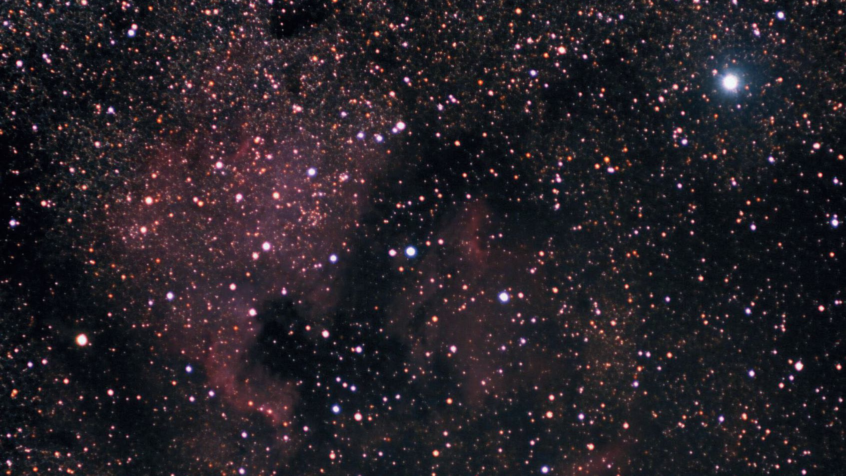 South-east of Deneb (the bright star at the top right) you will find NGC 7000, the North America Nebula, one of the most beautiful emission nebulae. The Little Orion asterism can be seen to the left of the centre of the image, or to the east of the Gulf of Mexico. 
Marcus Degenkolbe