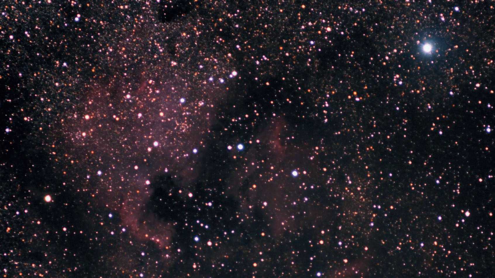 South-east of Deneb (the bright star at the top right) you will find NGC 7000, the North America Nebula, one of the most beautiful emission nebulae. The Little Orion asterism can be seen to the left of the centre of the image, or to the east of the Gulf of Mexico.
Marcus Degenkolbe