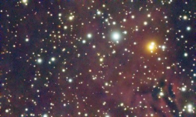 The same image, but with a noise filter applied