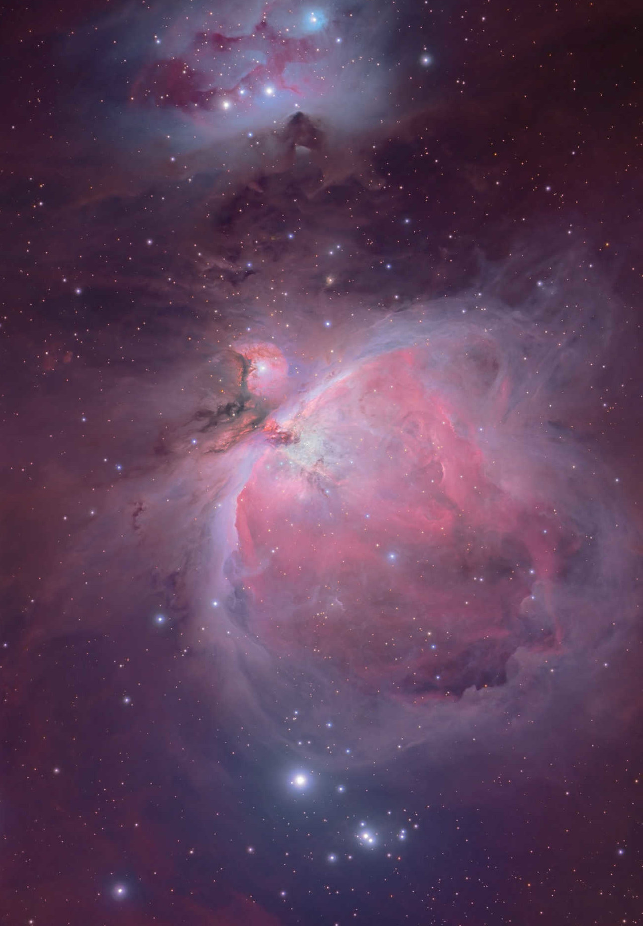 The fantastic Orion Nebula inspires many amateur astronomers. Mario Weigand