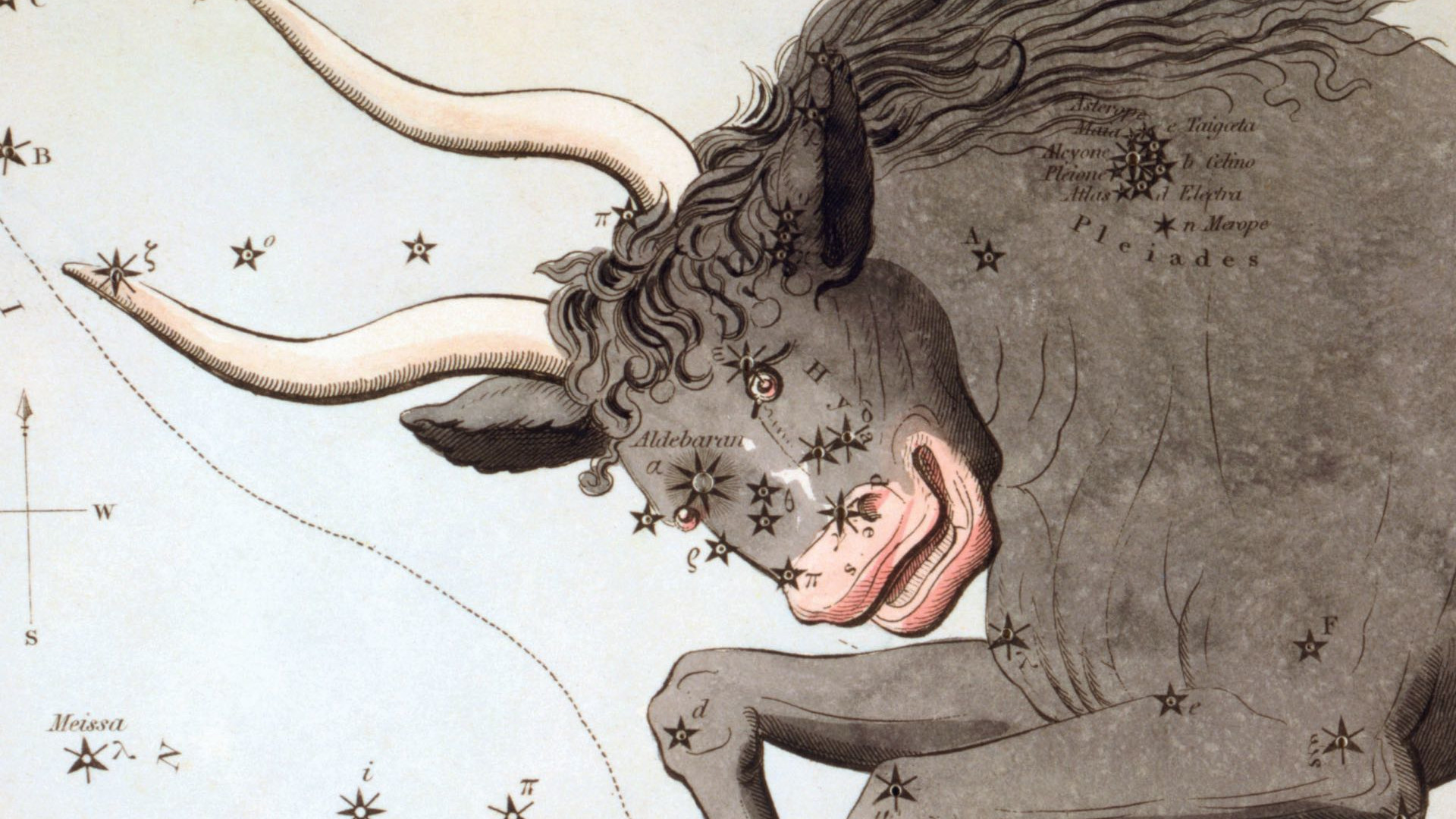 While historic star charts depict a huge bull, usually only his eye, two horns and two star clusters are visible in the night sky with the naked eye.