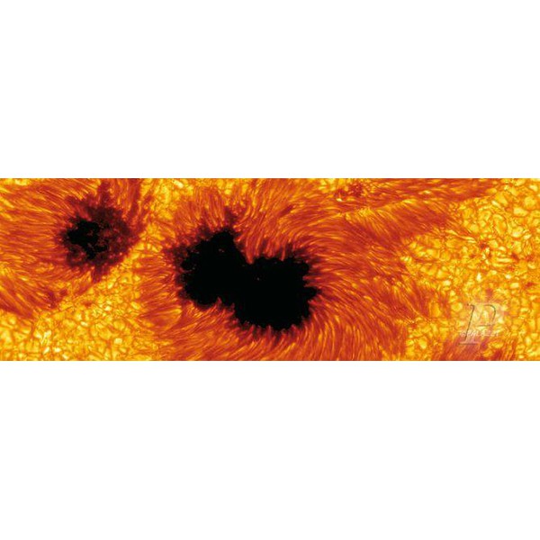 Palazzi Verlag Poster Sun Spots