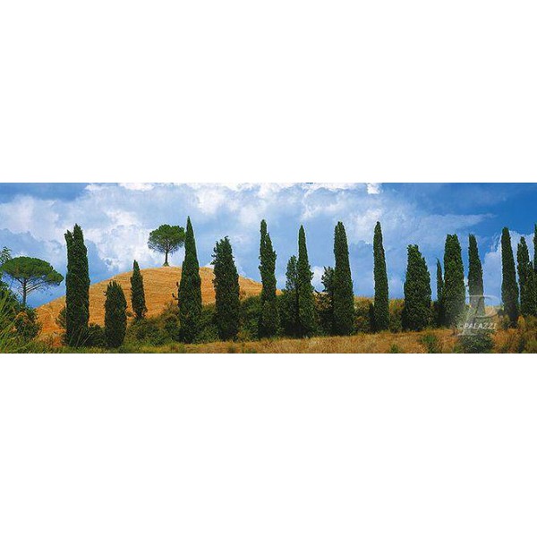 Palazzi Verlag Poster Val Dórica Tuscany canvas print