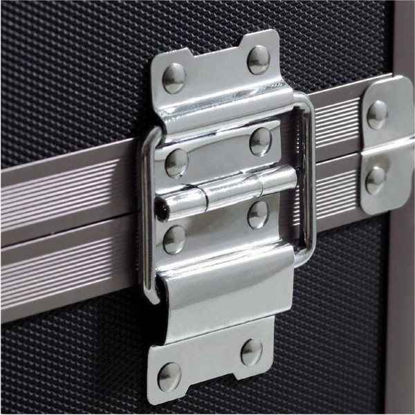 Vanguard VGP-310W transport case