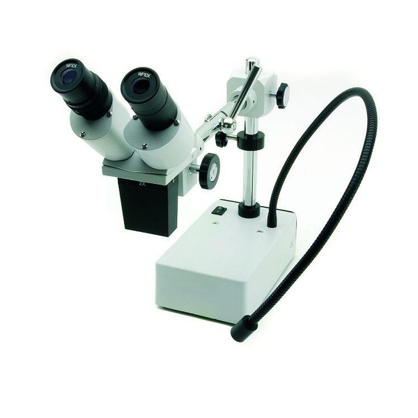 Windaus HPS 50 microscope with gooseneck light guide and LED