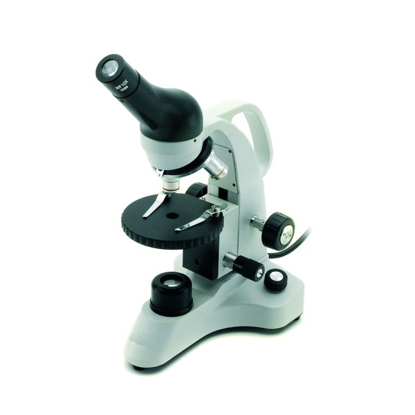 Windaus Microscope HPM B20 LED