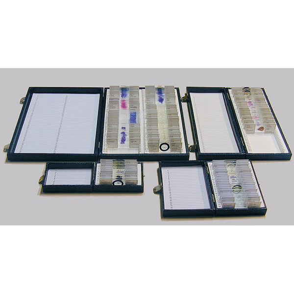 Windaus Storage box, standard model, for 100 prepared slides