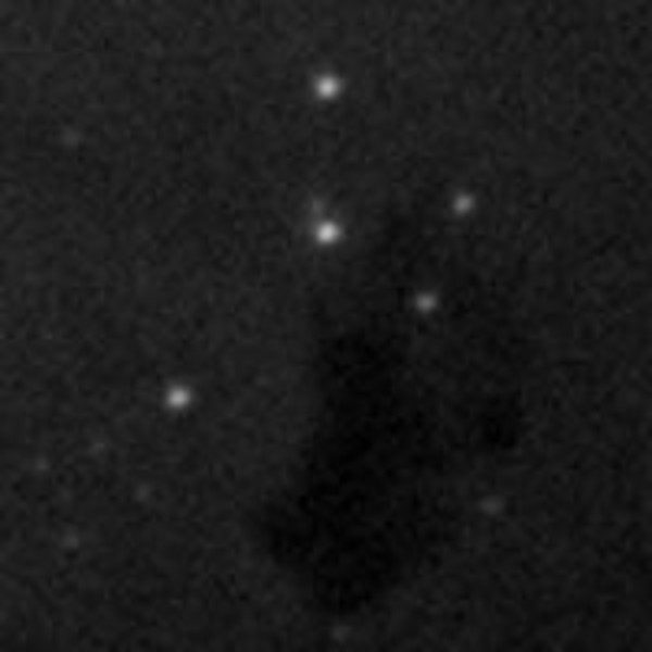 Orion SteadyStar Large Format Adaptive Optics Guider
