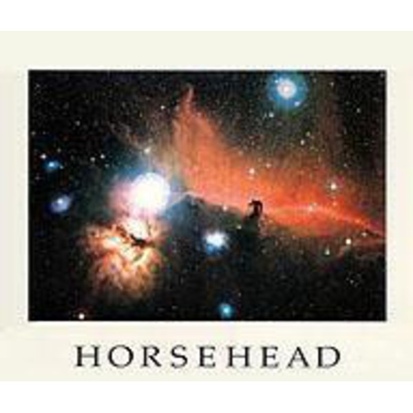 Palazzi Verlag Poster Horse head fog