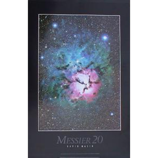 Poster Trifid Nebula M 20 by David Malin