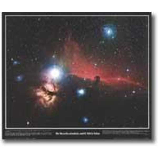 Poster Horsehead Nebula