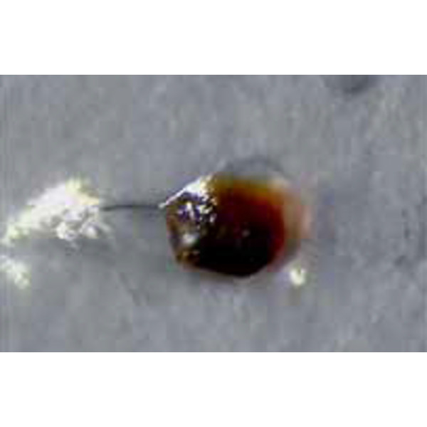 Hund Wiloskop stereo microscope - F Zoom with ST base - S, trinocular