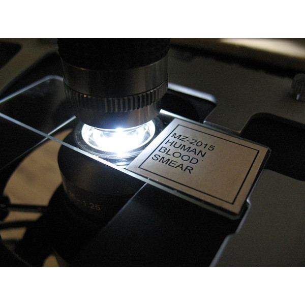 Optika B 500TDK trinocular dark-field microscope