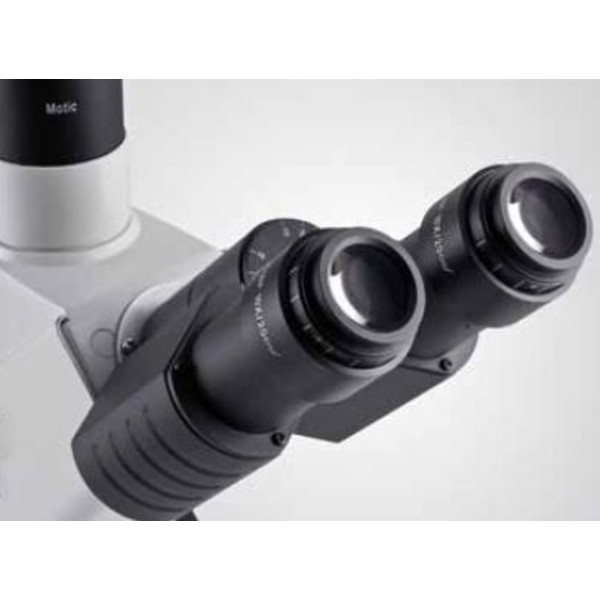 Motic AE2000 inverse binocular microscope