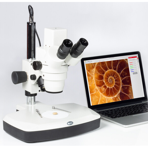 Motic DM-143-FBGG stereo microscope