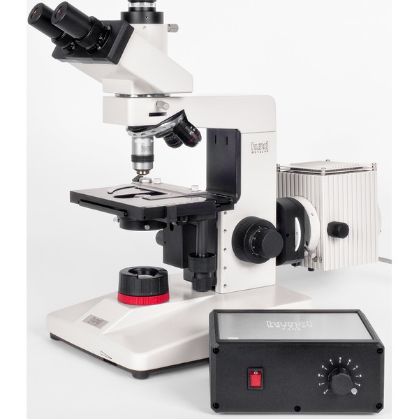 Hund H 600 LL 100 HP dark field microscope