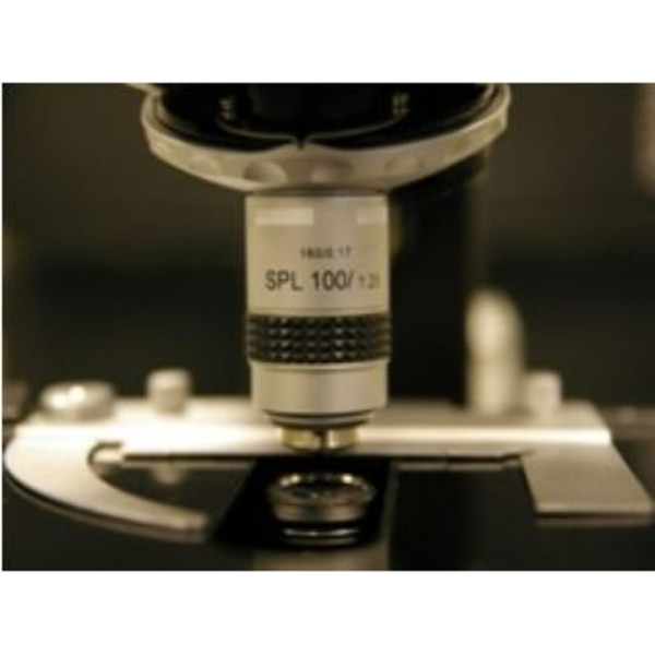 Hund H 600 LL 100 HP dark field microscope