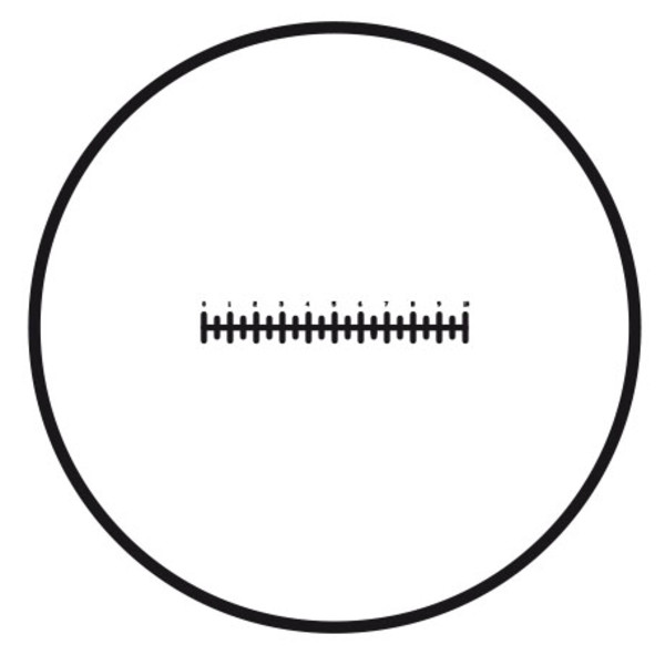 Motic , eyepiece reticule scale (10mm in 100 parts), (25mm diameter)