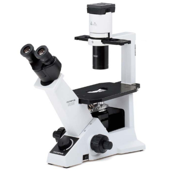 Evident Olympus Inverted microscope CKX31 invers Phase, bino, Hal, 40x, 100x, 200x, 400x