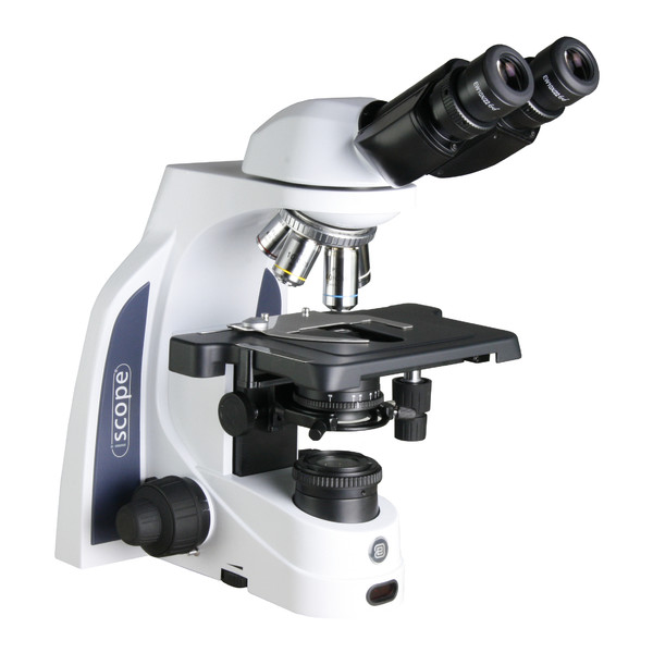 Euromex iScope IS.1152-PLPH, binocular microscope