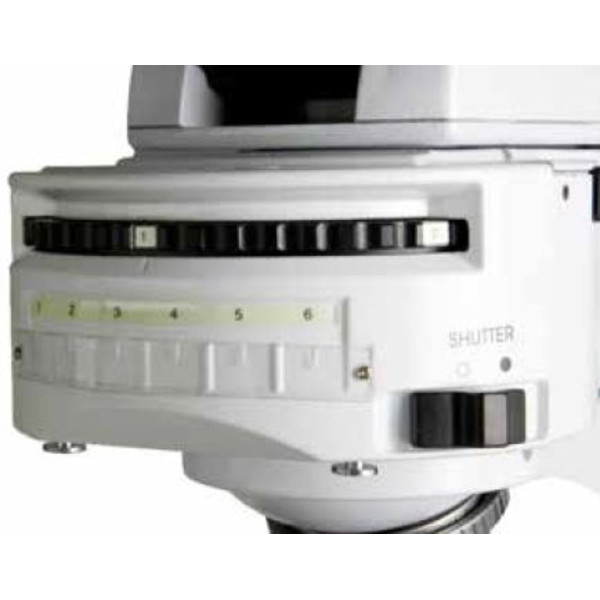 Euromex Microscope iScope, IS.3152-EPLi/6, bino