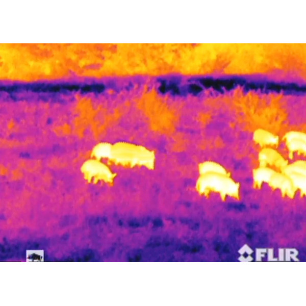 Armasight Thermal imaging camera Command 336, 3-12x50 (60 Hz)