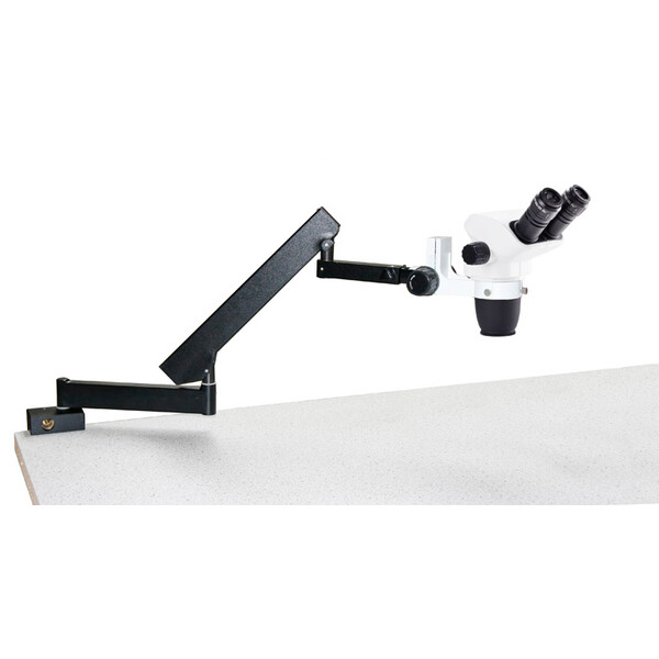 Euromex NZ.1702-A, NexiusZoom EVO, 6.5x to 55x, articulated stand, w.o. illumination, bino