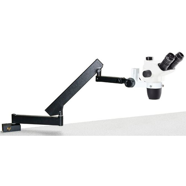 Euromex NZ.1703-AP, NexiusZoom EVO, 6.5x to 55x articulated arm with table clamp, without Lighting, trino
