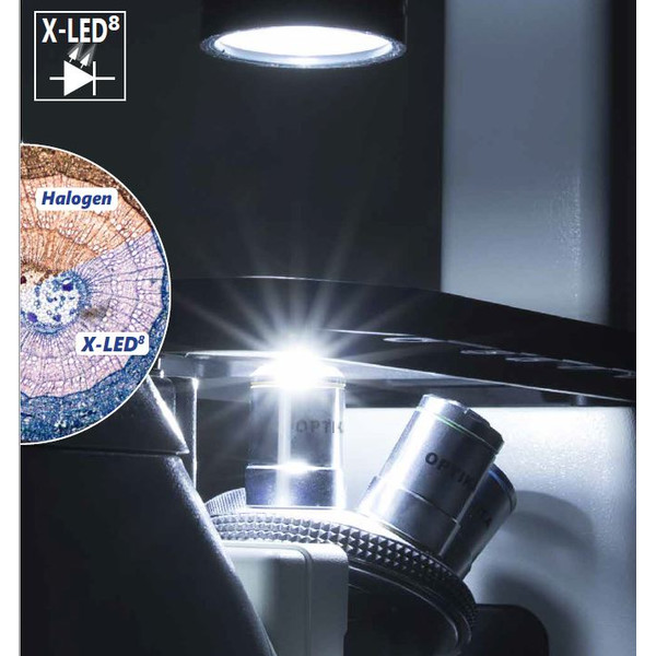 Optika Microscope IM-3FL4-UK, trino, inverse, FL-HBO, B&G Filters, IOS LWD U-PLAN F, 100x-400x, UK