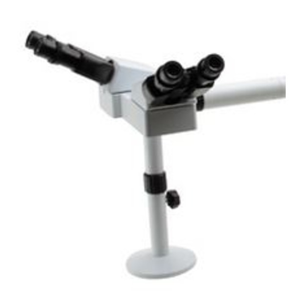 Optika M-1161 demonstration microscope head, 2X
