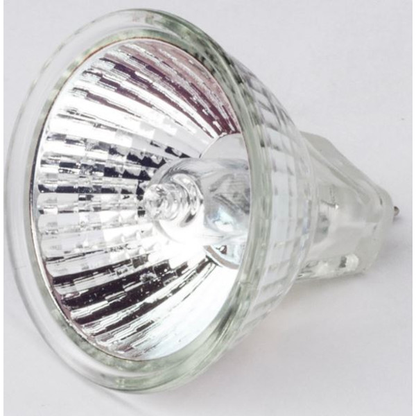 Motic Replacement 12V/10W halogen bulb for R2GG stand (reflected light) (for SMZ-161)